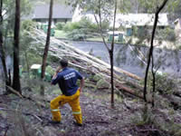 Gosford Storms 2008